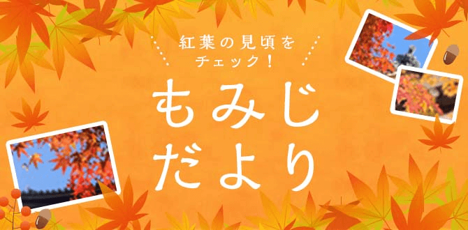 もみじだより