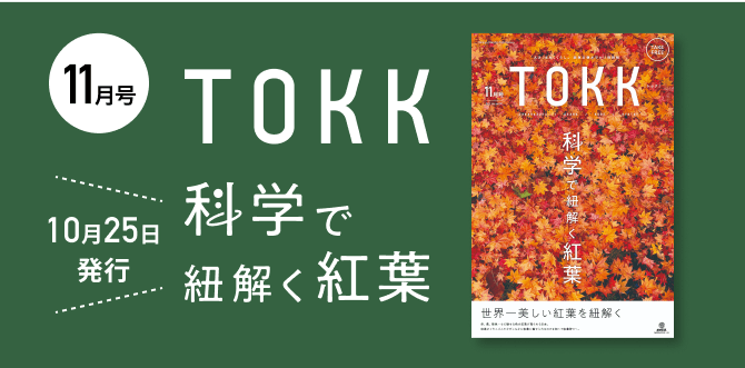 TOKK11月号 科学で紐解く紅葉