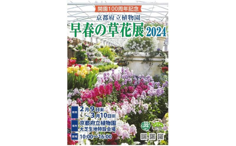 開園100周年記念　京都府立植物園　早春の草花展2024（京都府立植物園）