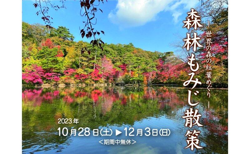 ～世界の森の紅葉めぐり～ 森林もみじ散策（神戸市立森林植物園）