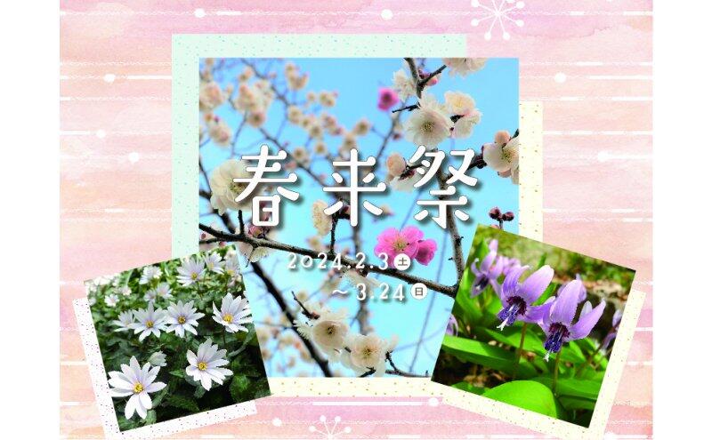春来祭（神戸市立森林植物園）