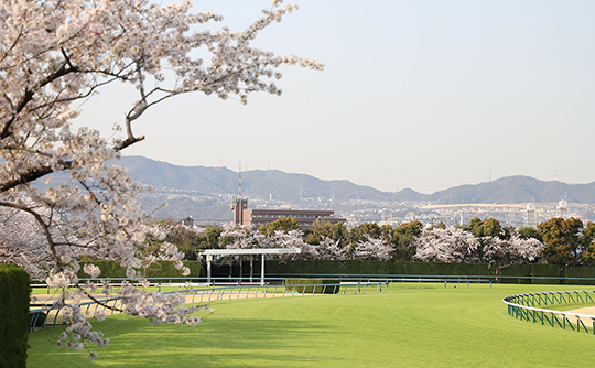 阪急沿線おしらべ係 第79回