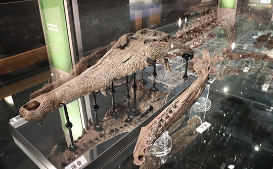 阪急沿線おしらべ係 第83回