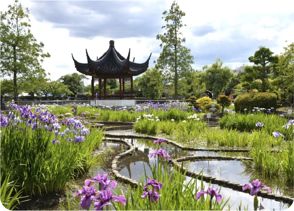 【池田市】スポット8（水月公園）