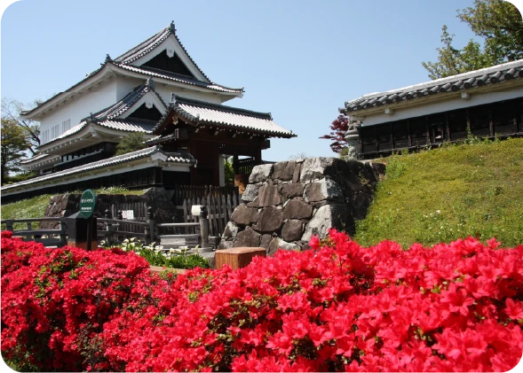 【長岡京市】コースイメージ【勝竜寺城公園】外観（キリシマツツジ）