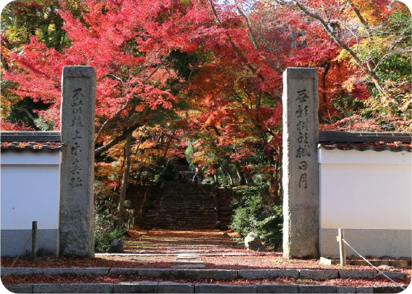 【西京区】スポット7（浄住寺）