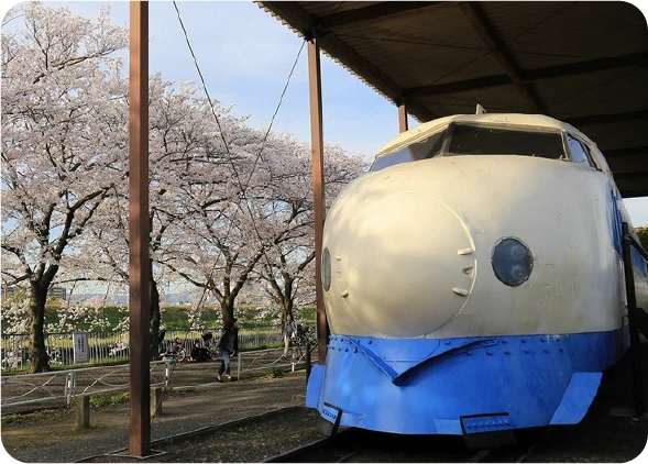 【摂津市】コース紹介用