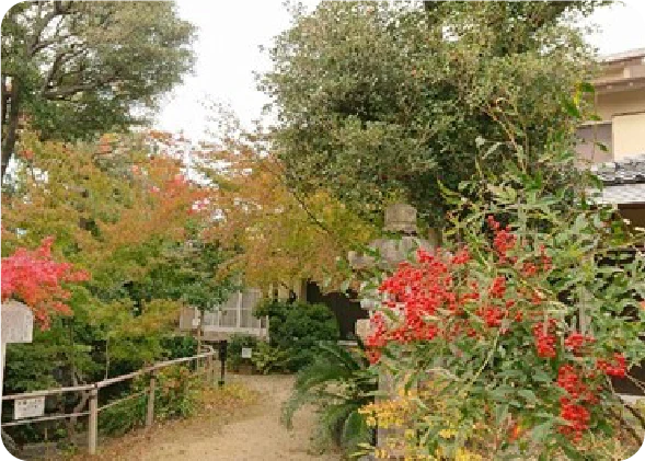 【豊中市】スポット10 原田城跡・旧羽室家住宅（外観）