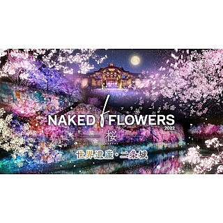 Naked Flowers 22 ー桜ー 世界遺産 二条城 沿線イベント情報 阪急電鉄