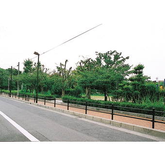 大曽公園
