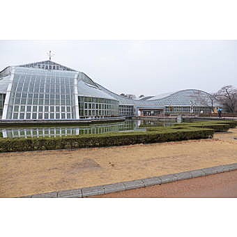 京都府立植物園の観覧温室