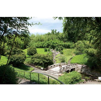 京都市洛西竹林公園