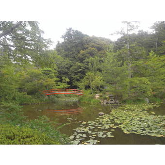 大原野神社・鯉沢池