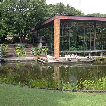 植物園では池に面したテラスでのんびりしよう