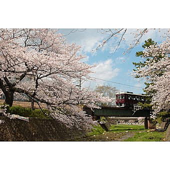 夙川公園 苦楽園口駅界隈 最寄駅 苦楽園口駅 阪急電鉄