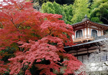 Ryuanji Temple