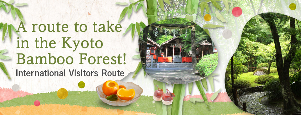 A route to take in the Kyoto Bamboo Forest!<br>International Visitors Route
