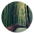 thumb01