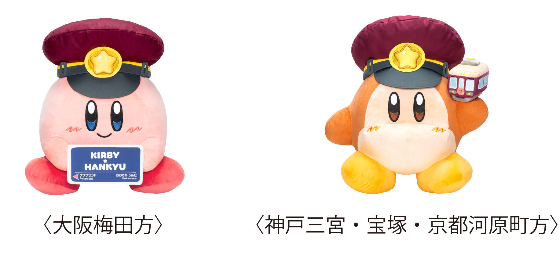 アセット 1.jpg