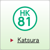 Katsura 