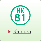 Katsura