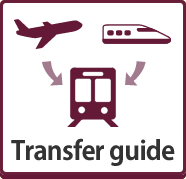 Transfer guide