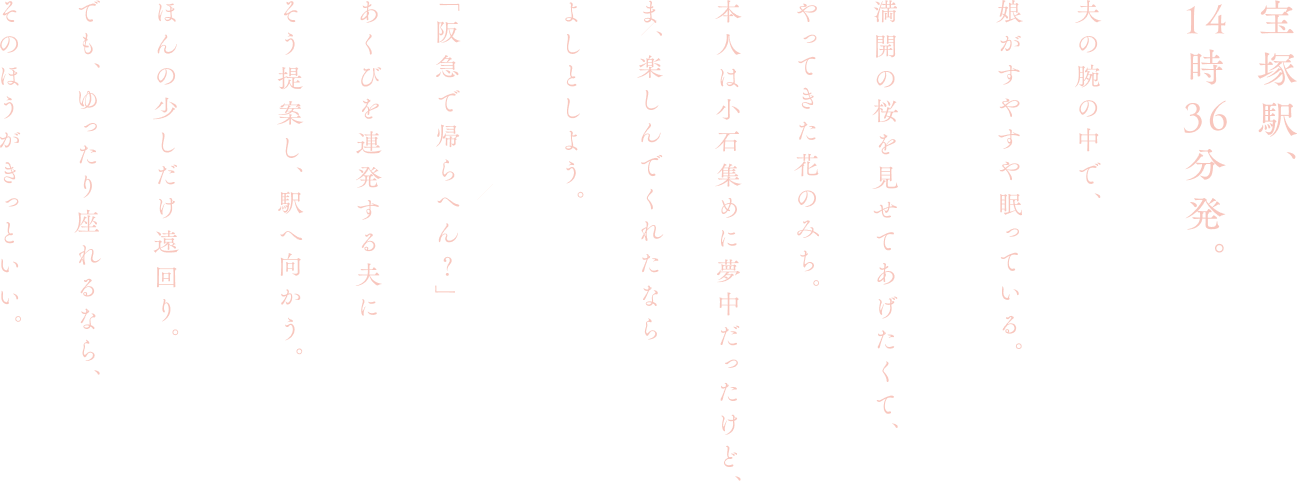宝塚駅 本文